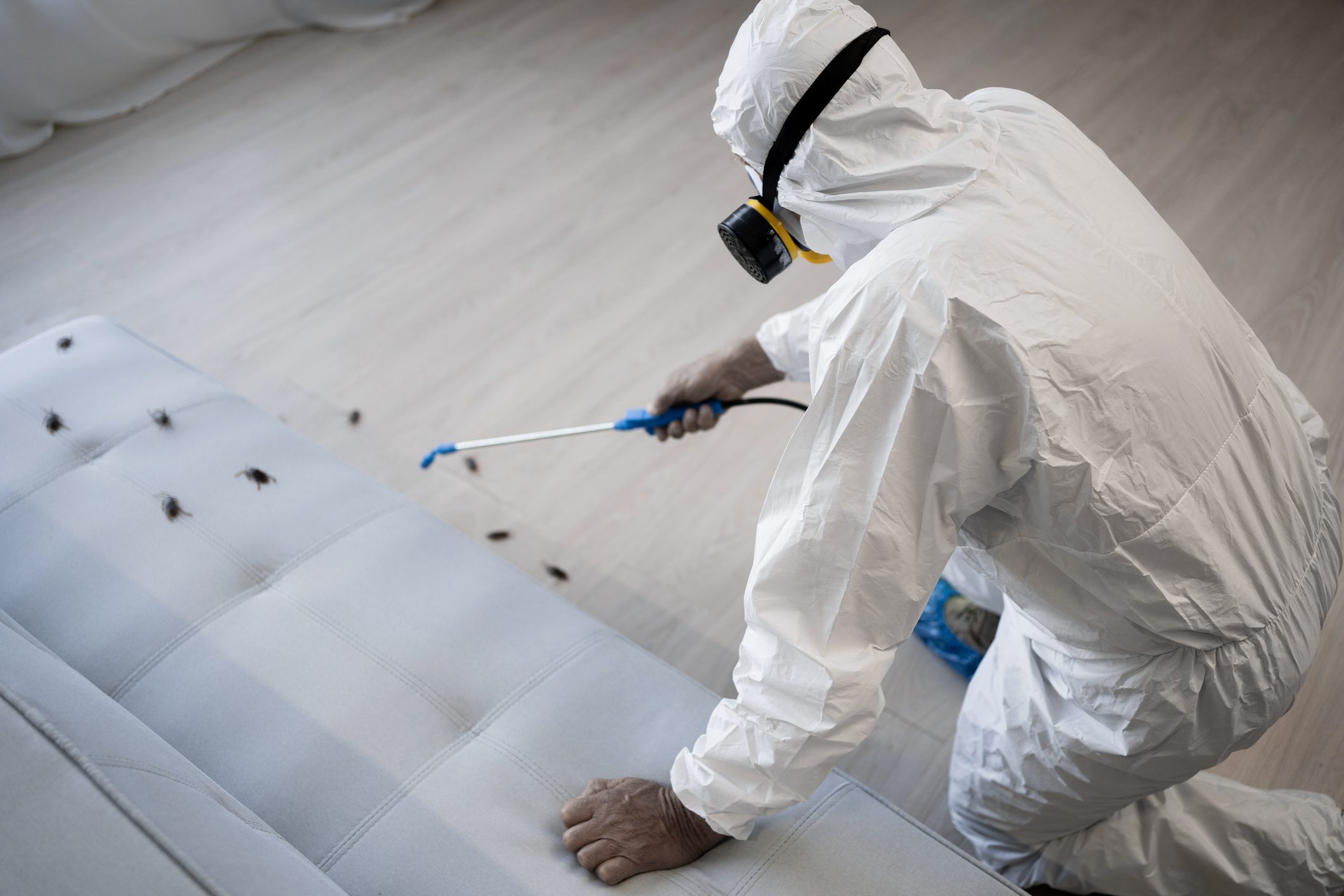 Pest control exterminator in white protective suit, mask and gas respirator with sprayer equipment killing cockroaches in apartment or house on the floor. copy space